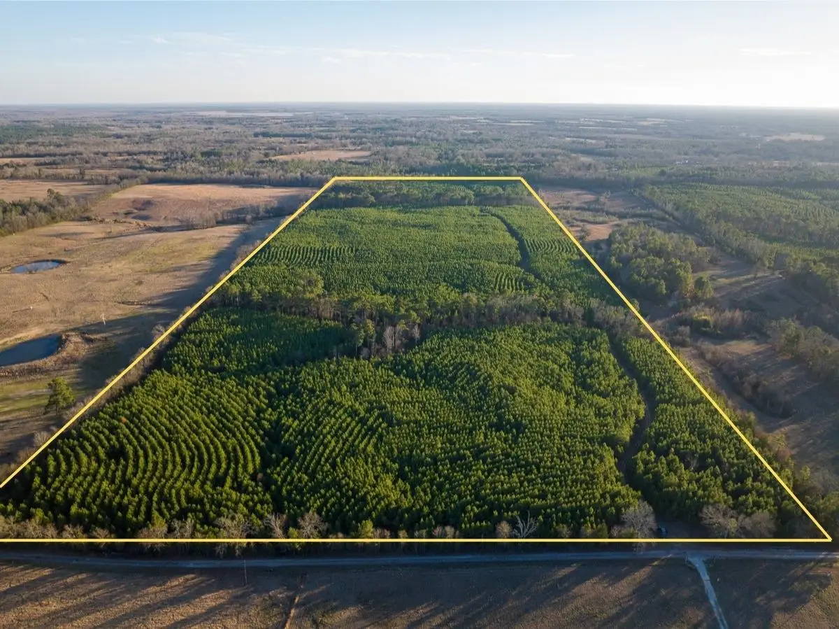 T-7 Cr 4415, Annona Avery, TX 75559 - Image #1