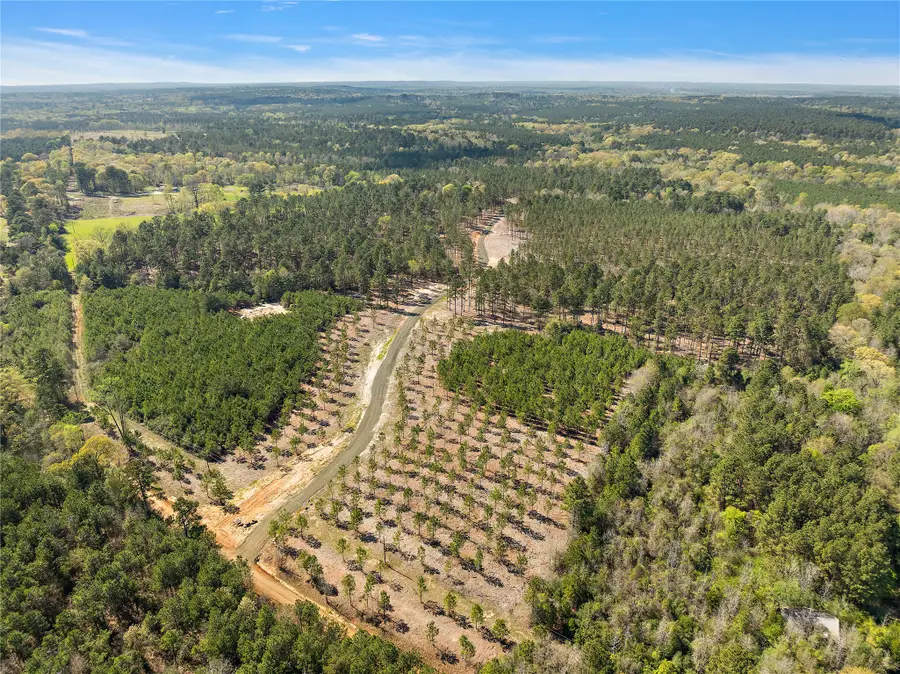 142 Piney Creek Estates Rd, Timpson, TX 75975 - Image #3