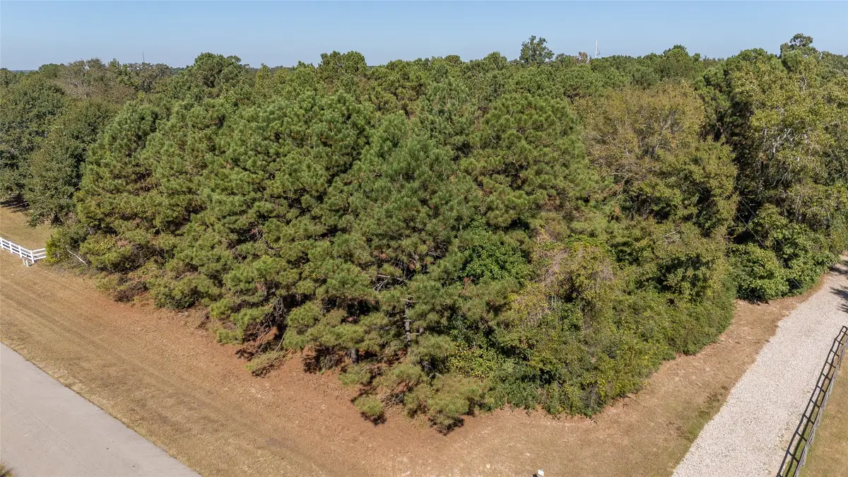 408 Trace Way Drive, Montgomery, TX 77316 - #1