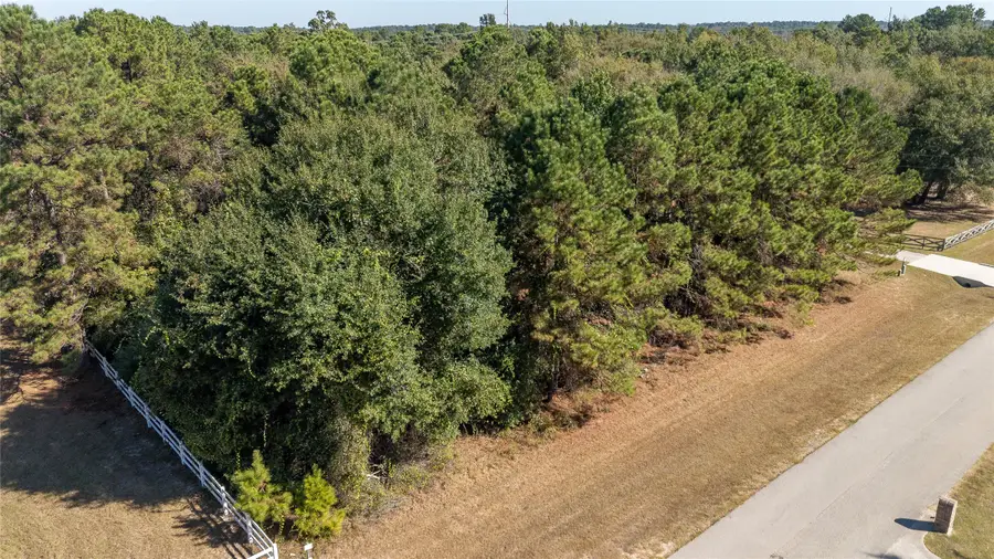 408 Trace Way Drive, Montgomery, TX 77316 - #2