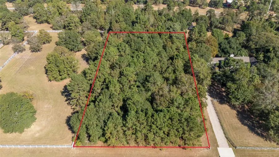 408 Trace Way Drive, Montgomery, TX 77316 - #3