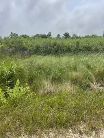 0 S Sonny Ln, Galveston, TX 77554 - #1