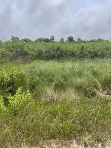 0 S Sonny Ln, Galveston, TX 77554 - #2