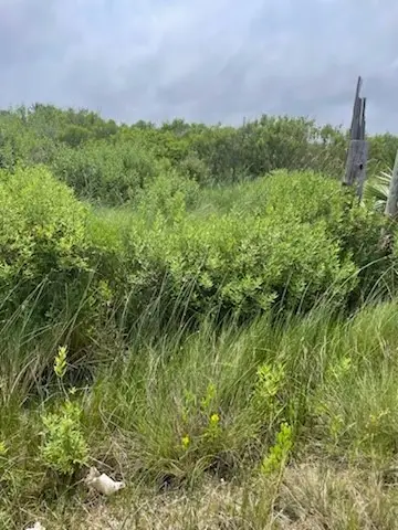 0 S Sonny Ln, Galveston, TX 77554 - #3