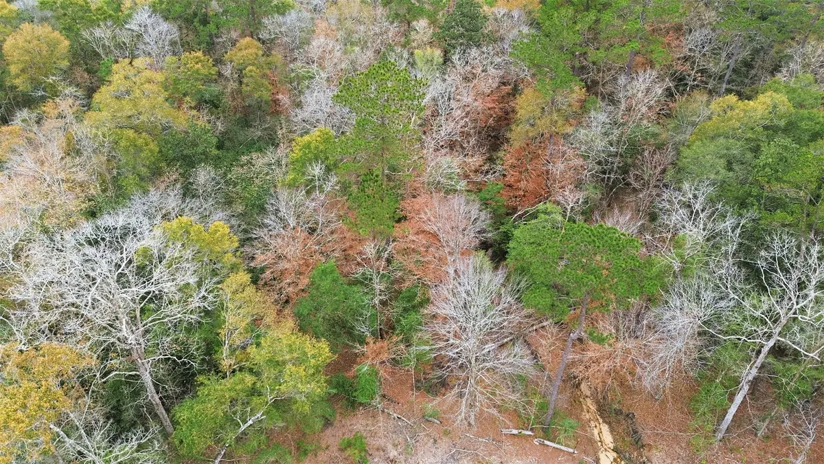 TBD Lady Luck Pid 246444 Lane, Livingston, TX 77351 - Image #1