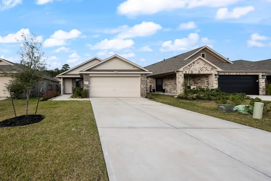 17238 Black Ash Court, New Caney, TX 77357 - #3