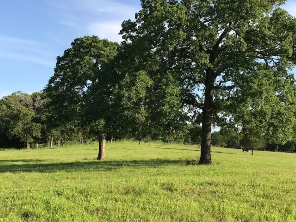 1188 Pr 6030, Cameron, TX 76520 - Image #1