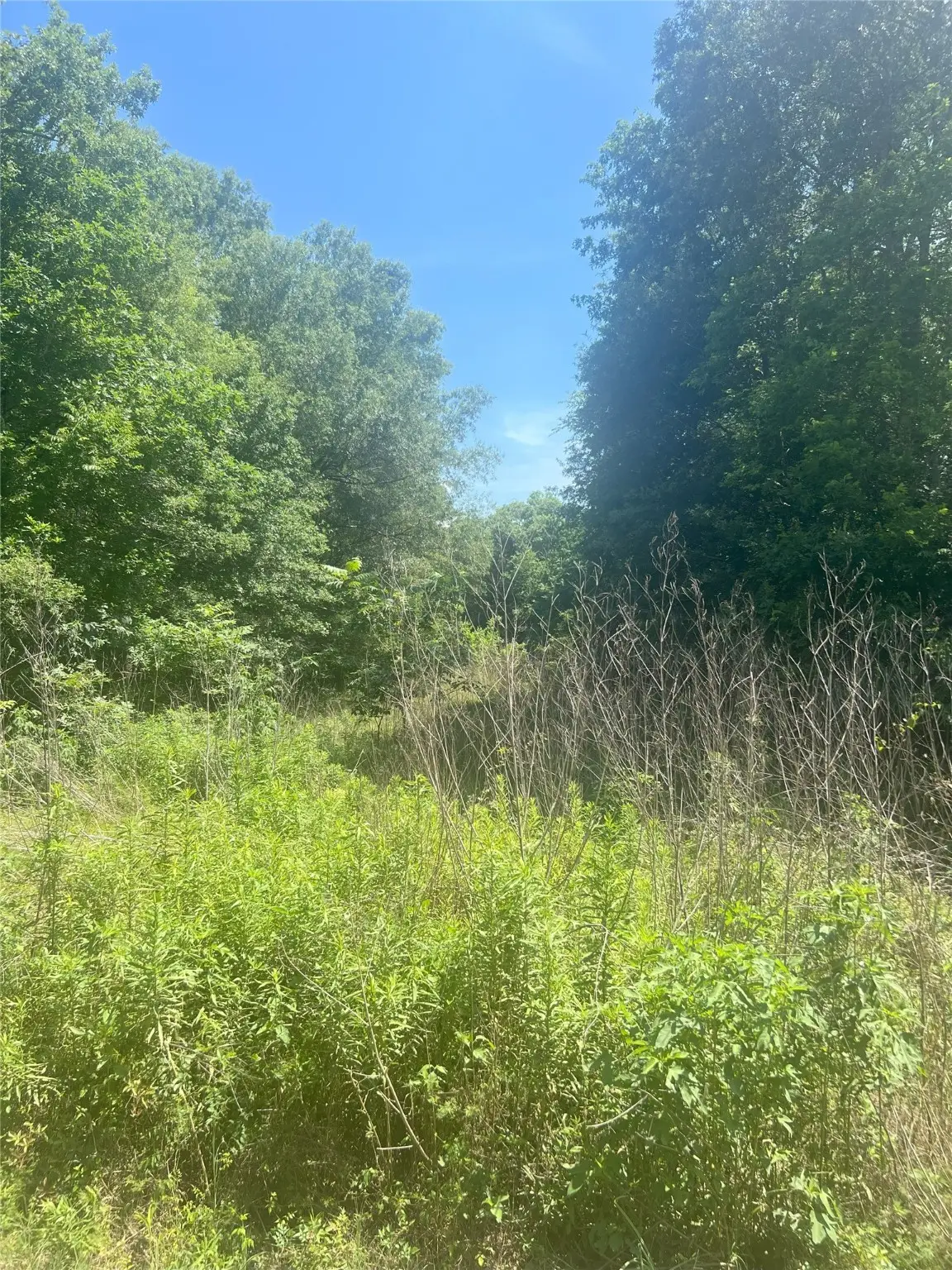 0 White Pinch Ln, Dayton Lakes, TX 77535 - Image #1