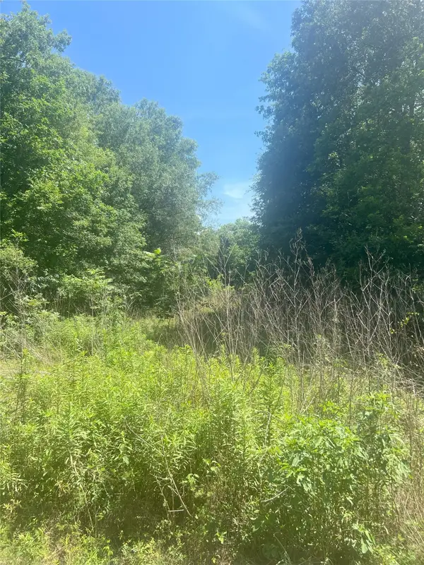 0 White Pinch Ln, Dayton Lakes, TX 77535