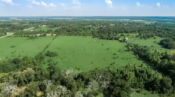 351 County Road 351, Oakwood, TX 75855