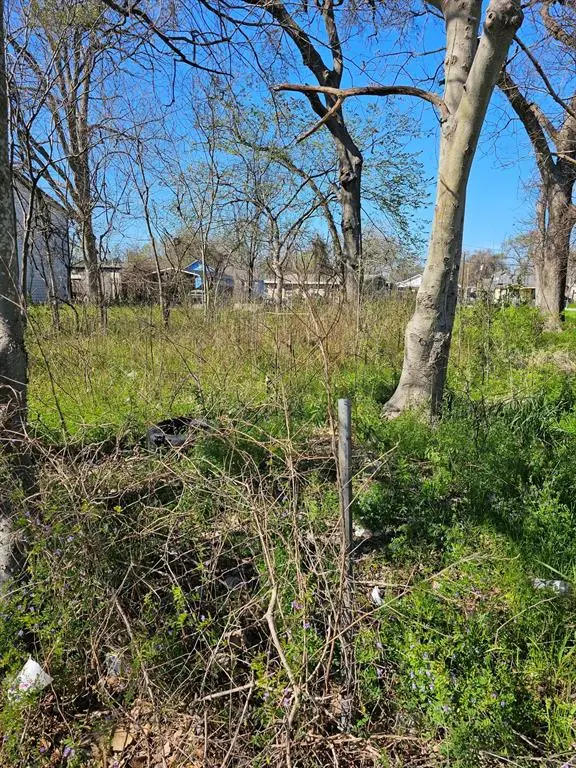 3125 E Crosstimbers Street, Houston, TX 77093 - Image #1