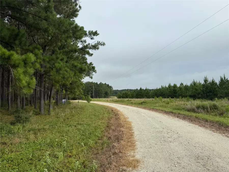 162 Taylor Trail, Lovelady, TX 75851 - #3