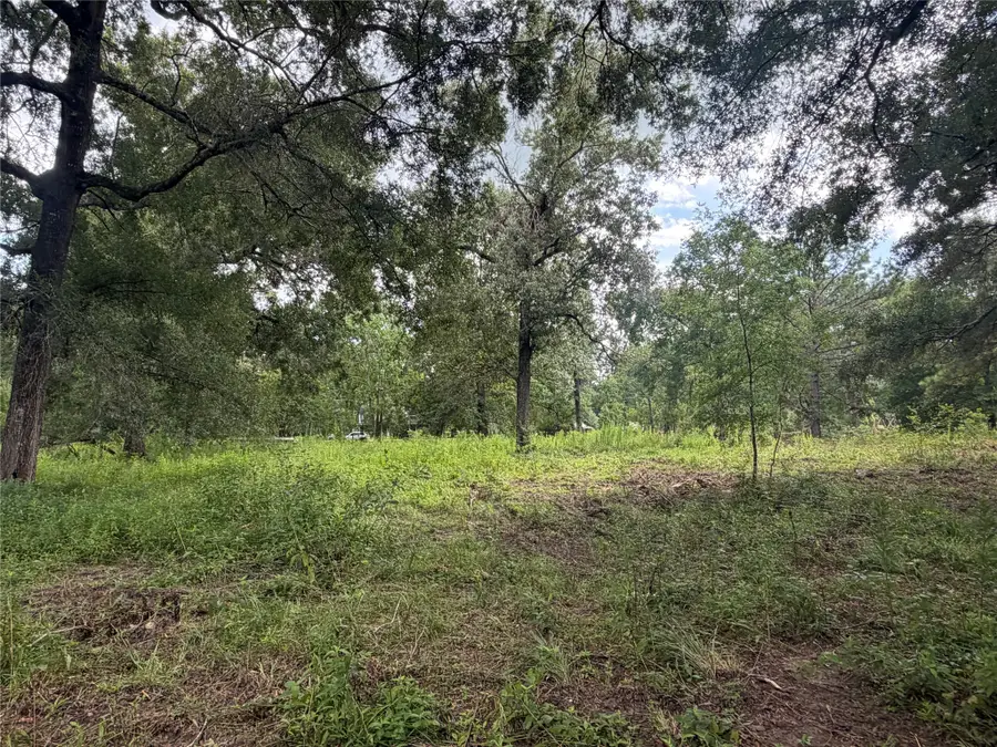 0 County Road 6502 W, Dayton, TX 77535 - #2