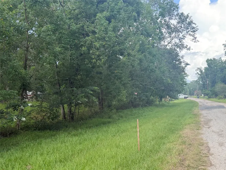 0 County Road 6502 W, Dayton, TX 77535 - #3