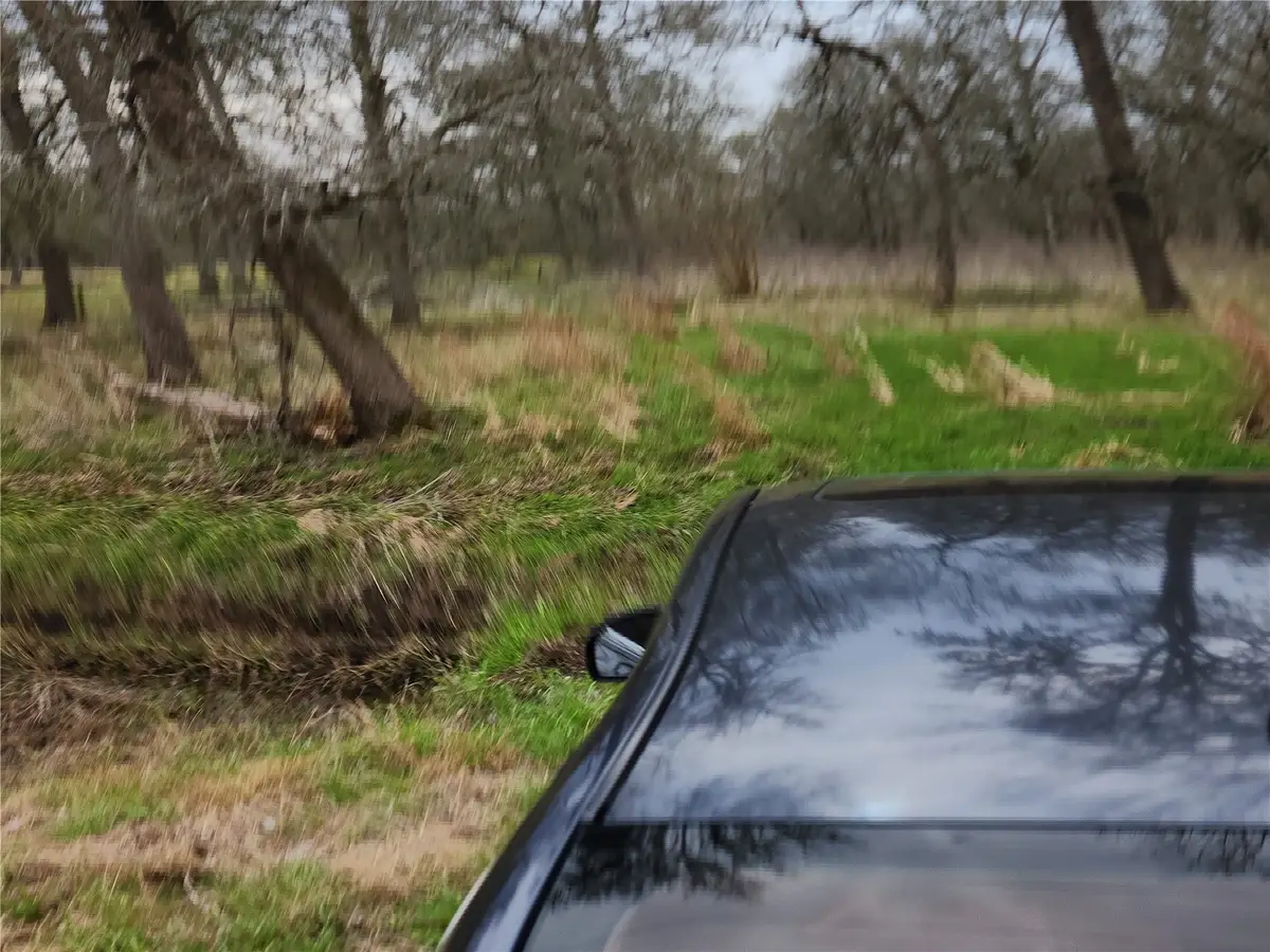 15530 Tierra Grande Drive, Needville, TX 77461 - Image #1