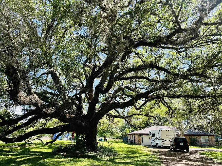 1819 Y U Jones Road, Richmond, TX 77469 - Image #2