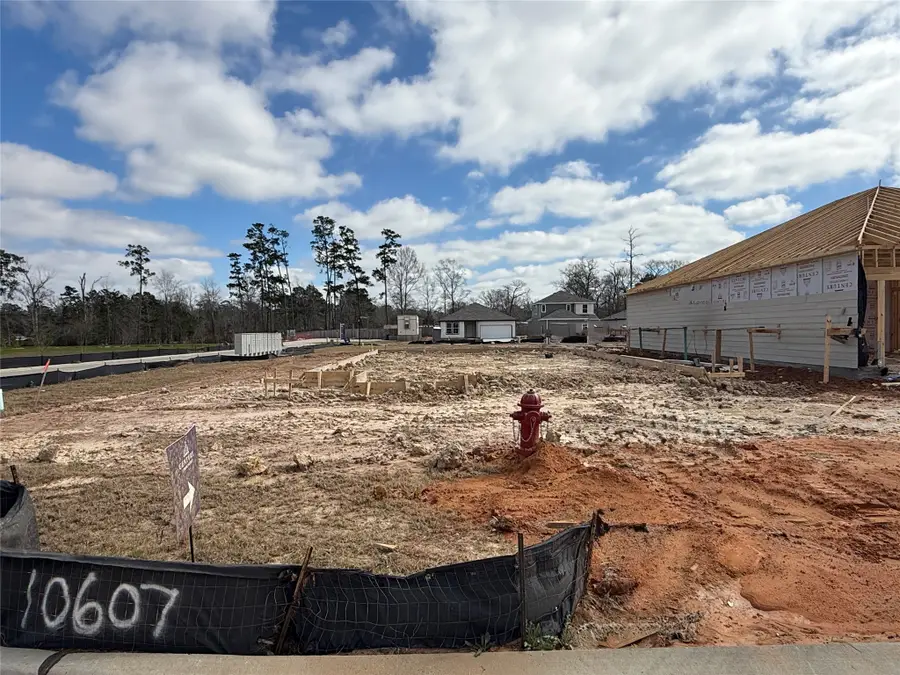 10607 Crockett Meadows Boulevard, Conroe, TX 77306 - #2