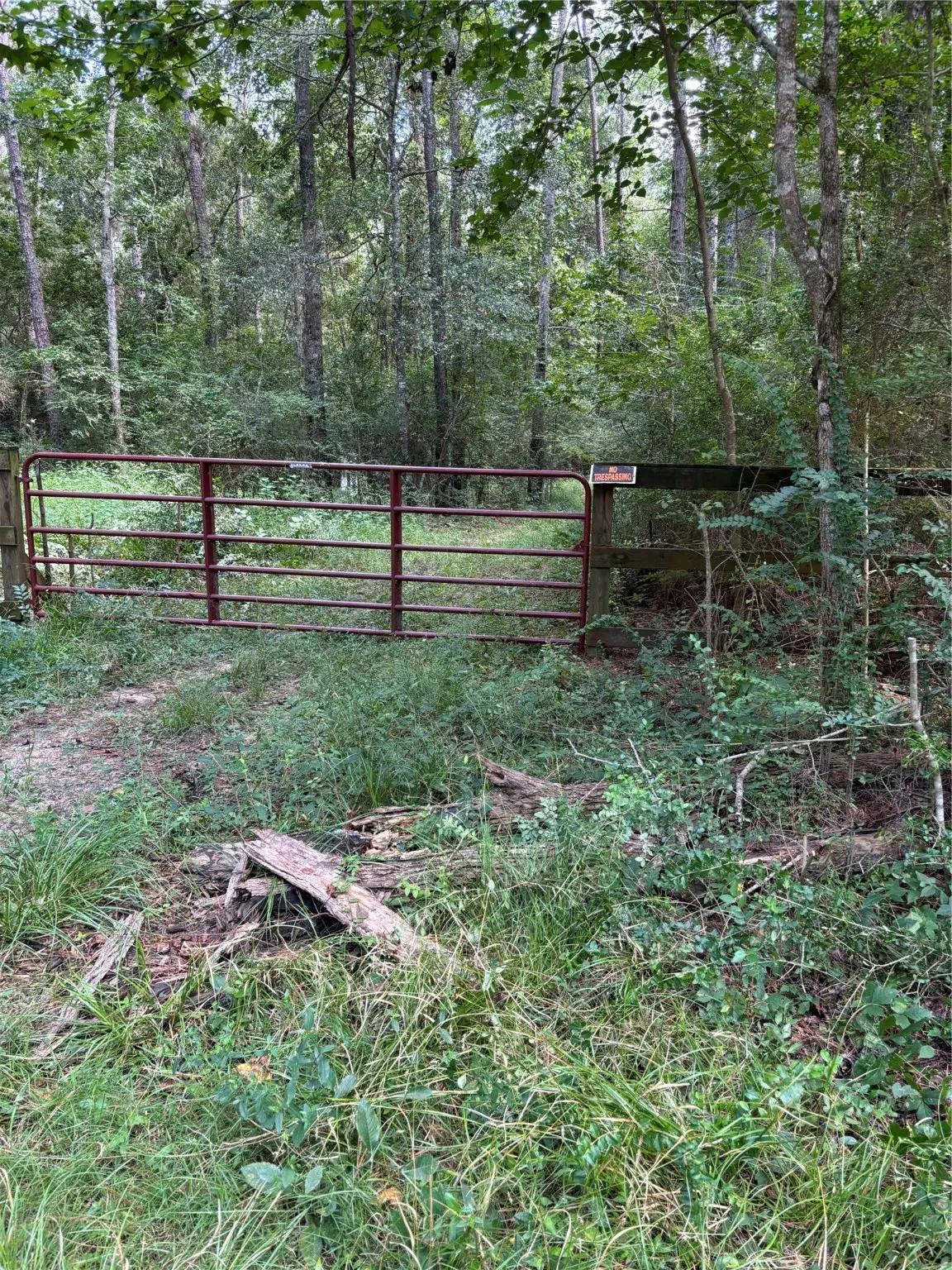 000 Bergman Drive, Magnolia, TX 77355 - Image #1