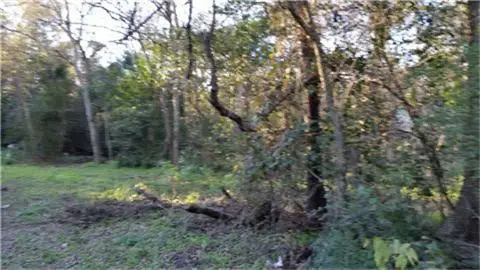 0000 Danover Street, Katy, TX 77494