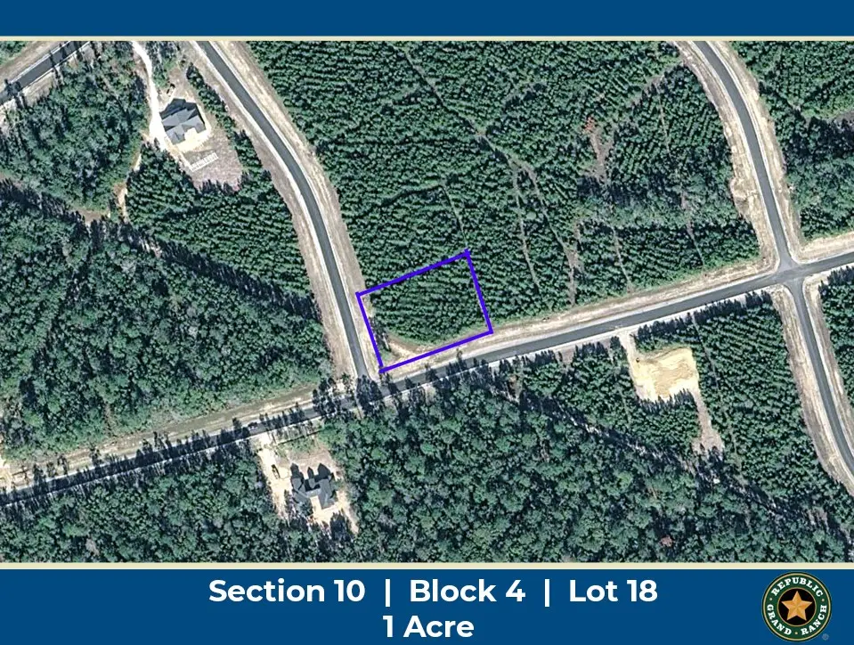 15797 Forest Grove Drive, Willis, TX 77378 - #1