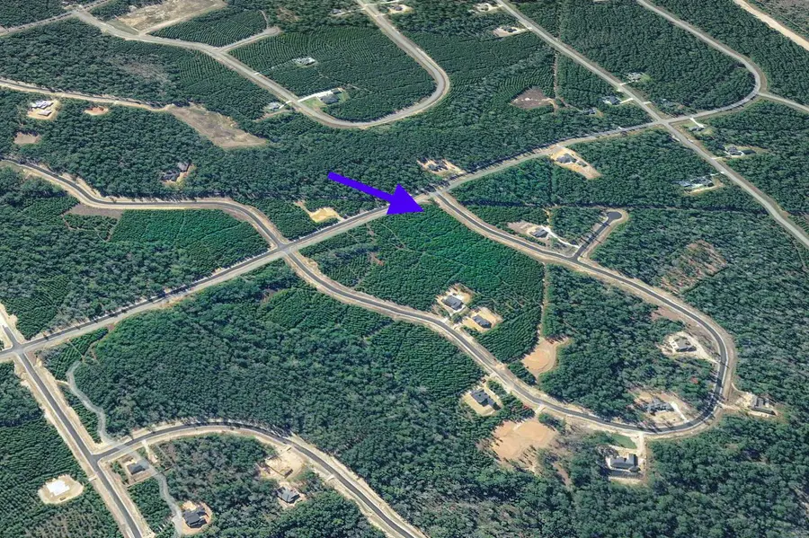 15797 Forest Grove Drive, Willis, TX 77378 - #3