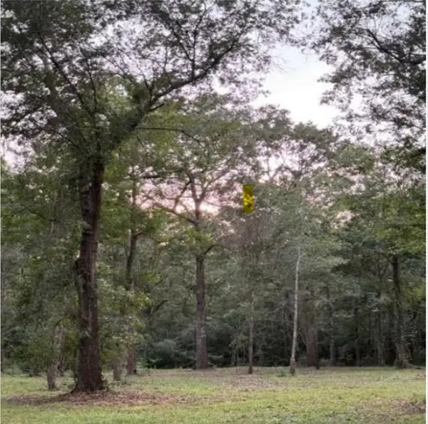 26164 Grand Pines Road, Magnolia, TX 77355