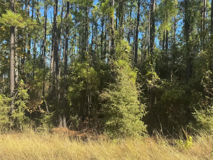 003 County Road 219, Brookeland, TX 75931 - Image #2