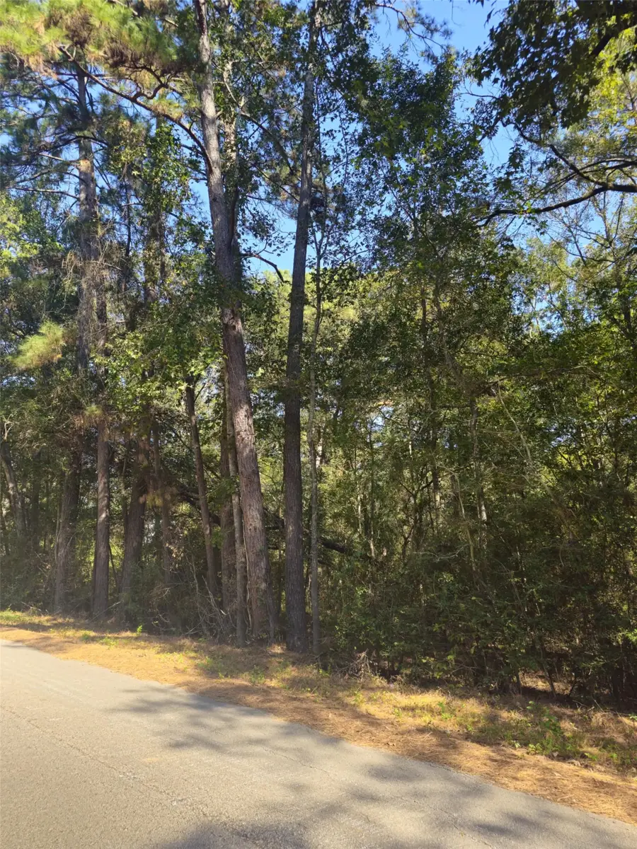 tbd Royal Springs Road, Conroe, TX 77303 - #2