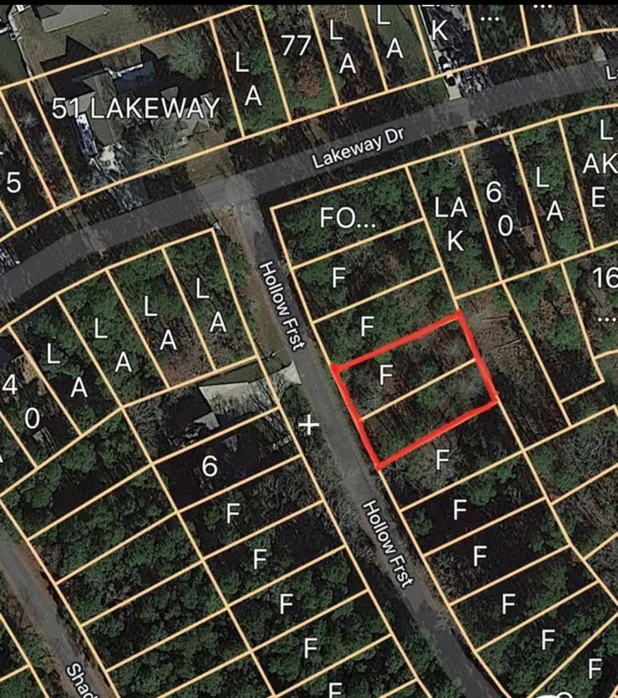 0 Forest Hollow, Trinity, TX 75862 - Image #3