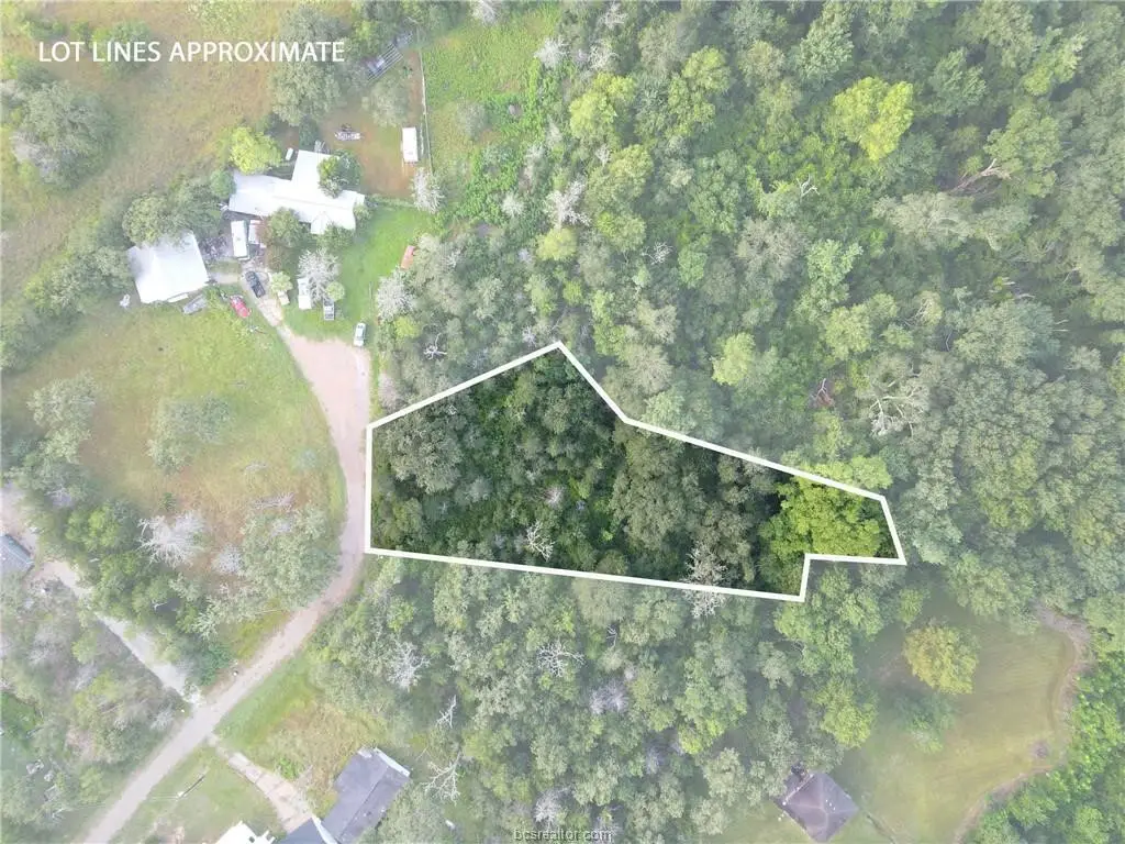 TBD Tanglewood Lane, Somerville, TX 77879 - Image #1