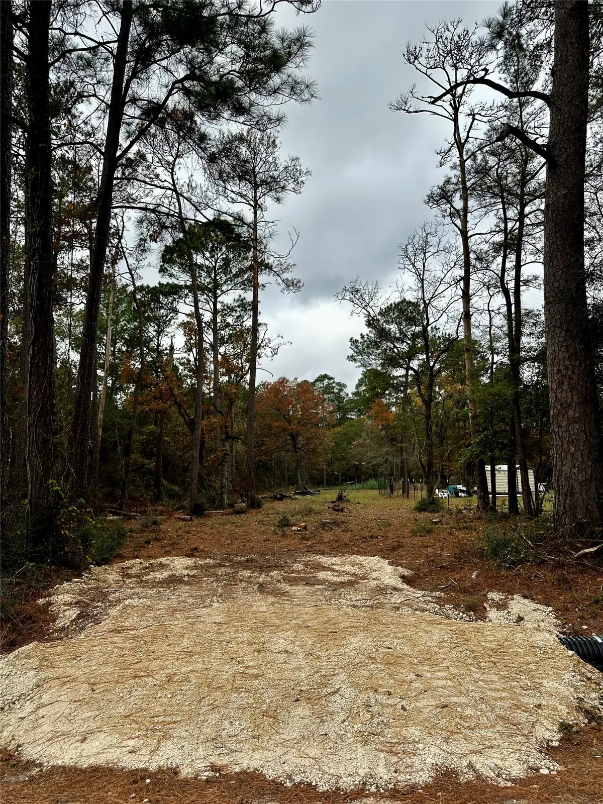 15172 Cherry Laurel Lane, Navasota, TX 77868 - #1