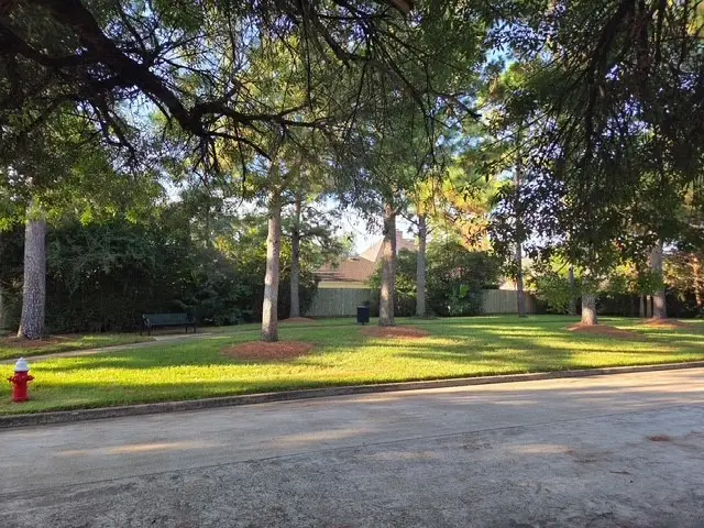 4331 Evergreen Elm Ct Court, Houston, TX 77059 - #2