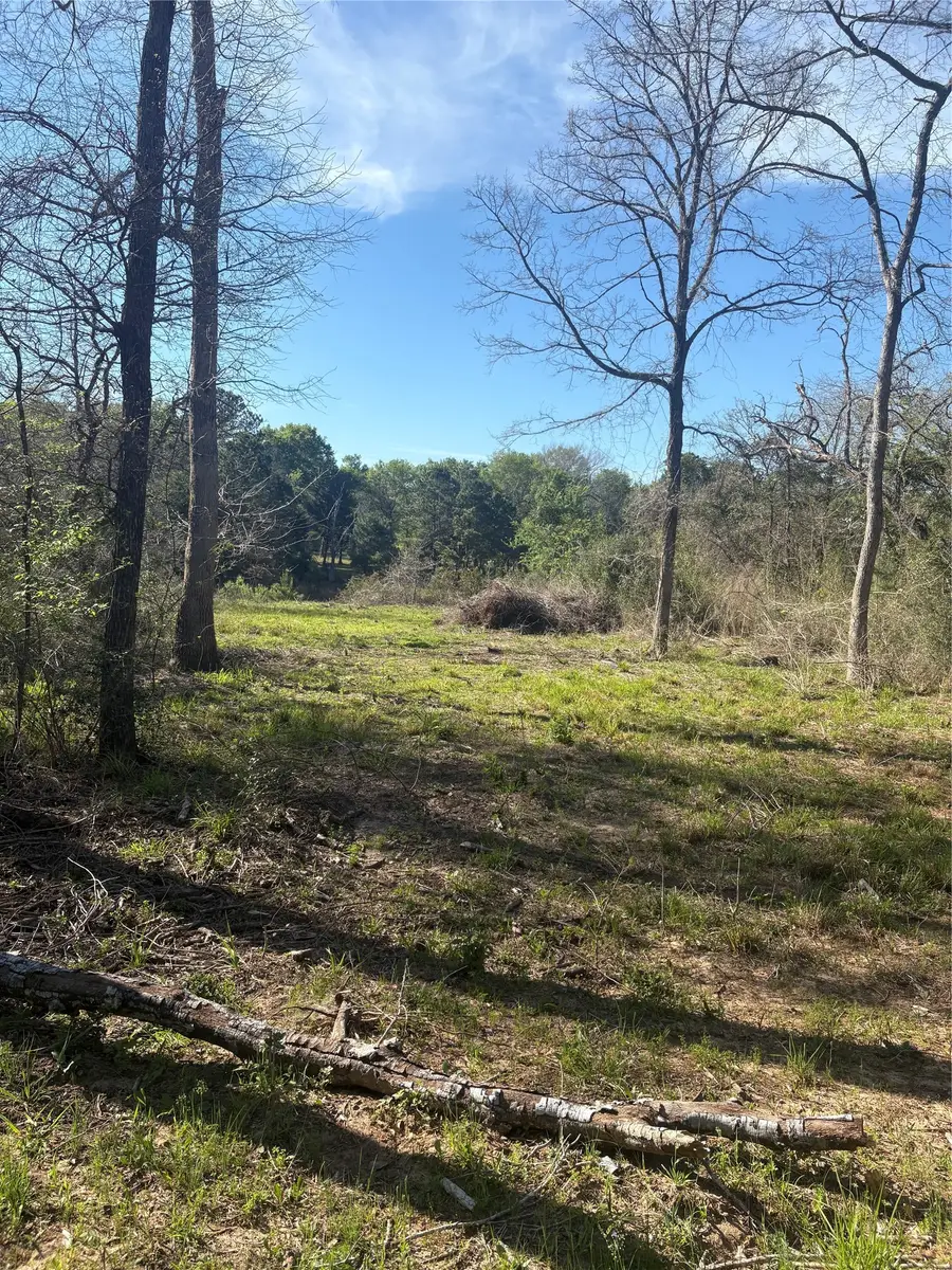 26770 Lake Shore Drive, Hempstead, TX 77445 - #2