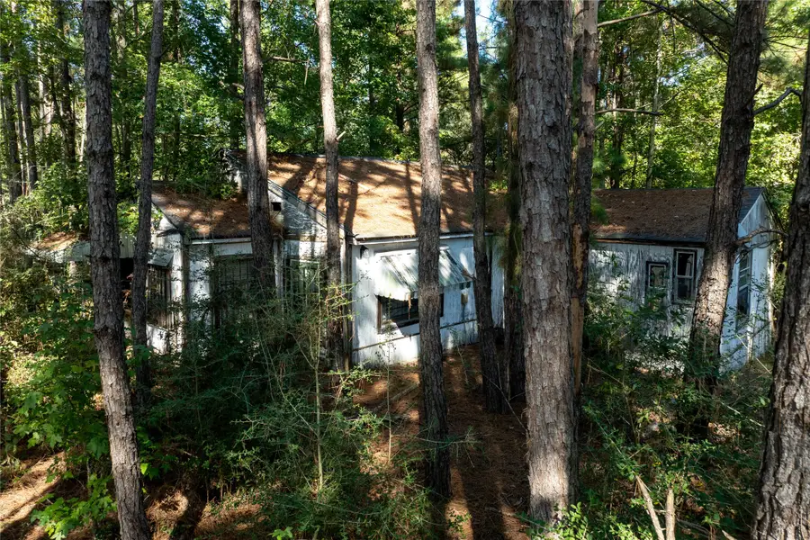 TBD County Road 4090, Lovelady, TX 75851 - Image #2