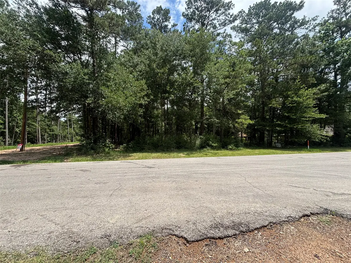 0000 Roman Forest Blvd, New Caney, TX 77537 - #1