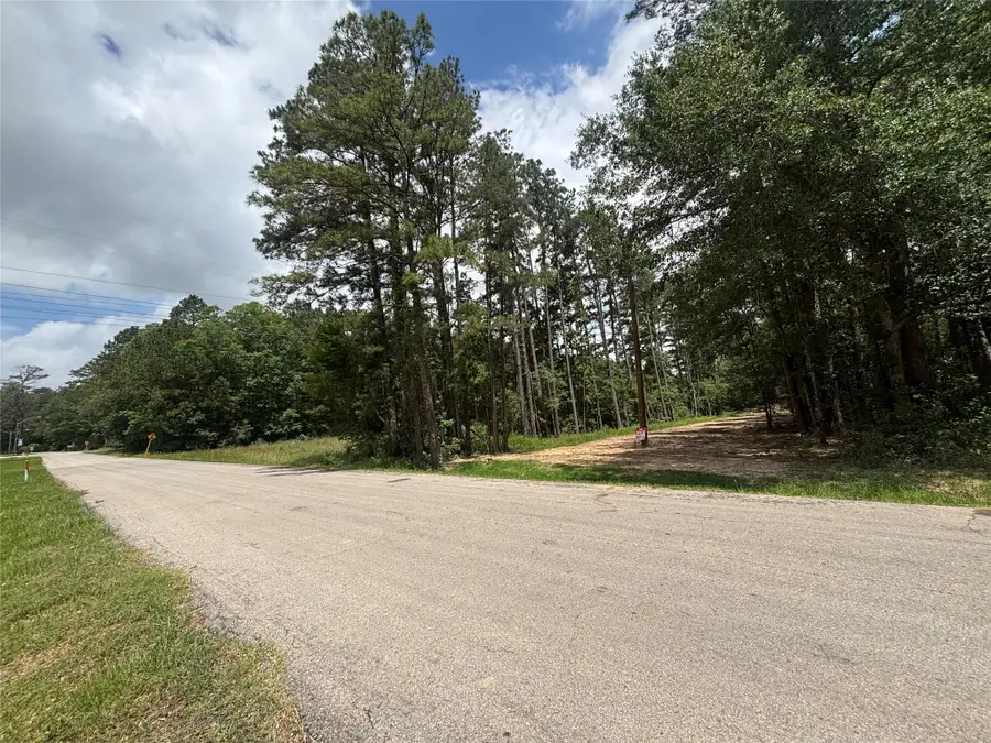 0000 Roman Forest Blvd, New Caney, TX 77537 - #2