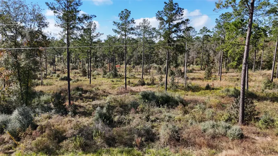 TBD 7 Reveille Road, Livingston, TX 77351 - #2