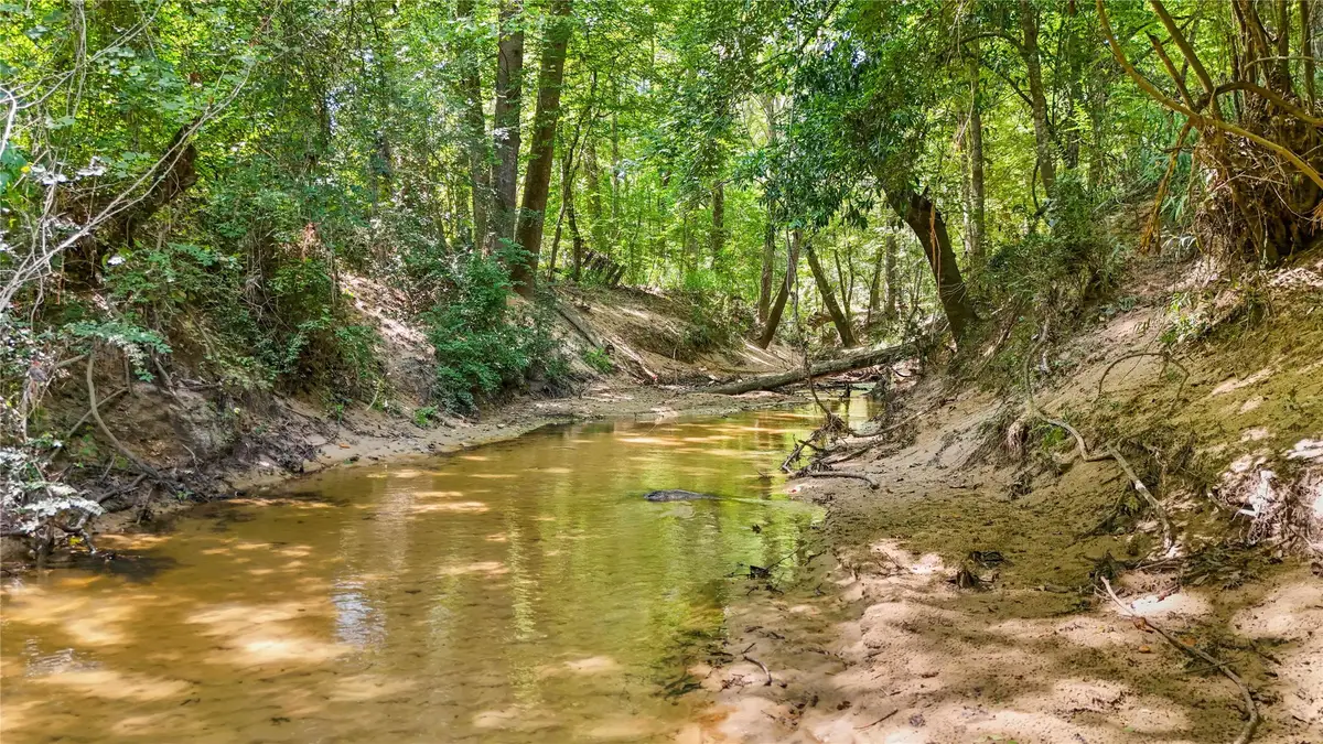 TBD Hwy 69 N, Woodville, TX 75979 - Image #1