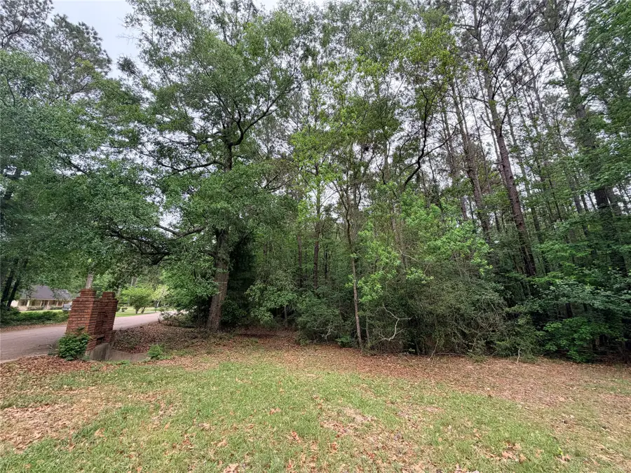 TBD Forse Drive, Woodville, TX 75979 - #3