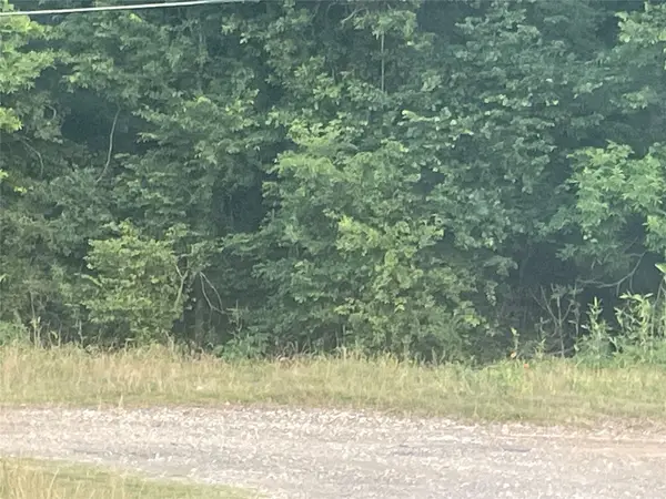 0 Chinquapin Lane, New Caney, TX 77357