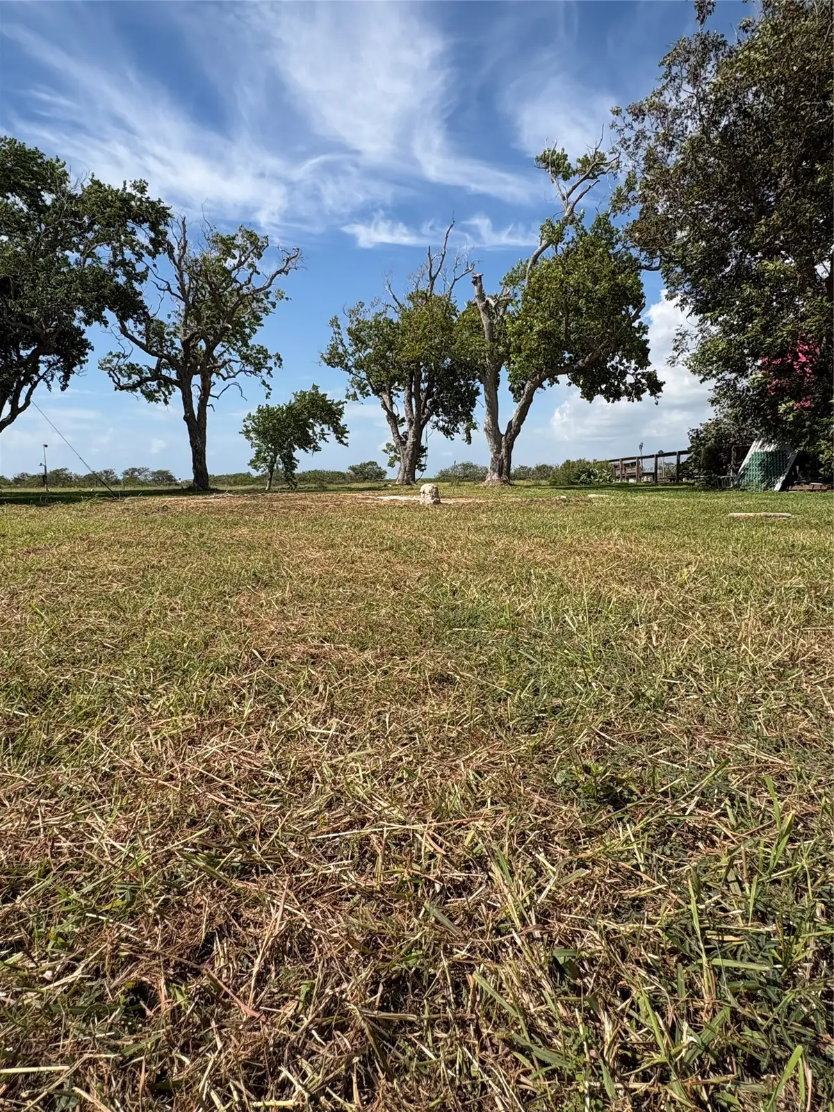 144 Seagull Road, Sargent, TX 77414 - #1