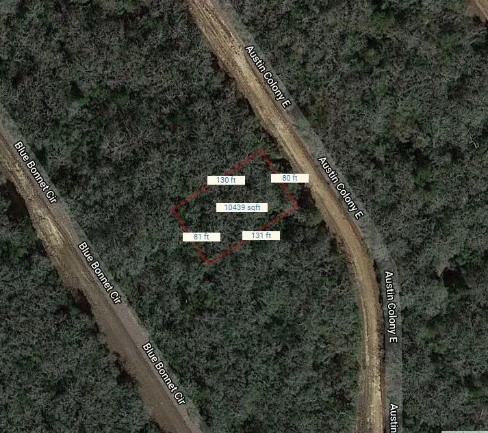 Lot 4 E Austin Colony, Normangee, TX 77871 - Image #2