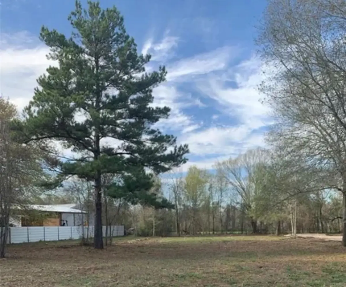 14410 Mary Jane Lane, Tomball, TX 77377 - #1