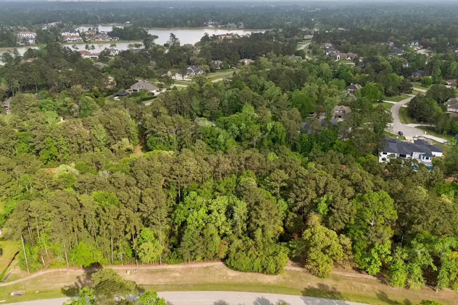 27318 Whispering Maple Way, Southeast Montgomery, TX 77386 - Image #3