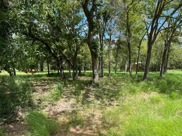 000 Cedar Lane, Thornton, TX 76687