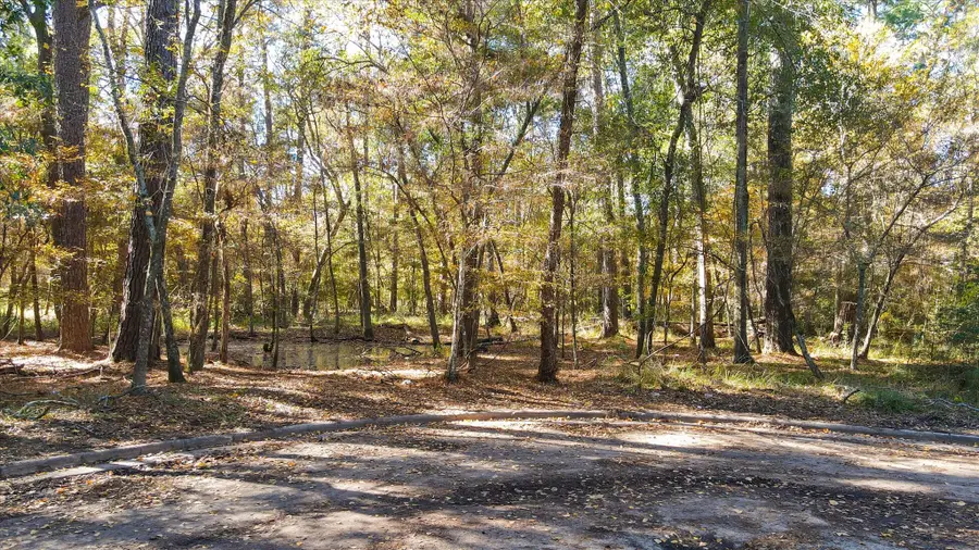 288 Broadmoor Drive, Huntsville, TX 77340 - Image #2