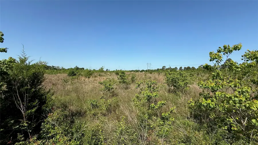 0 Lazy Kay Lane, Hockley, TX 77447 - Image #2