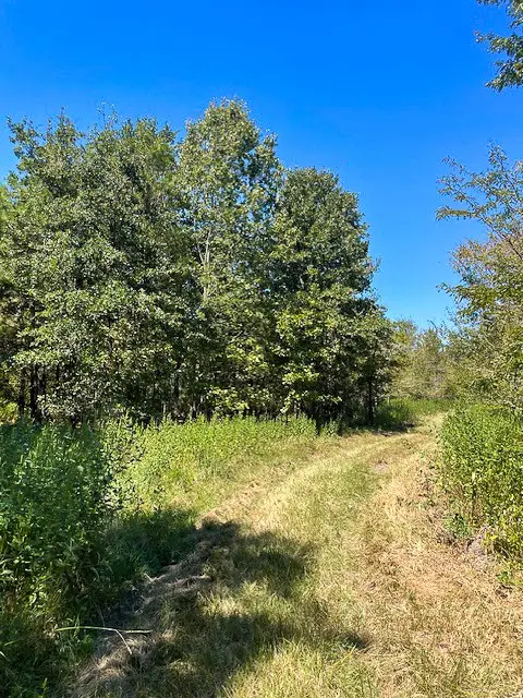 8881 Fm 356, Trinity, TX 75862