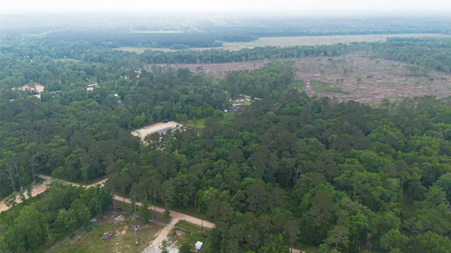 0 Pine Crest Street, Shepherd, TX 77371 - #3