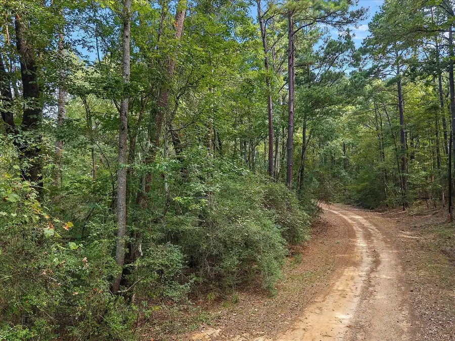0 White Oak Drive, Etoile, TX 75944 - #3